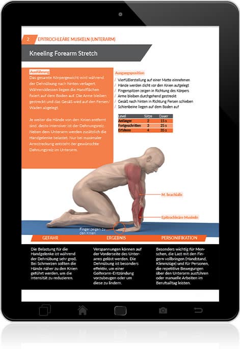 Handstand Anleitung Übungen für den Handstand